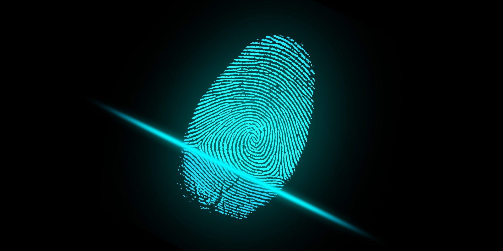 What You Need to Know About Identity and Access Management